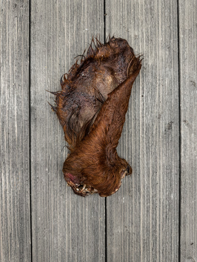 Dehydrated Cow Ear