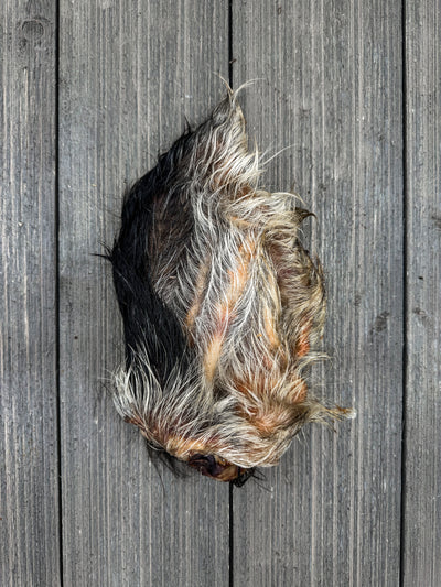 Dehydrated Pig Ear